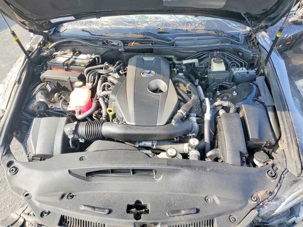 2019 LEXUS IS 300