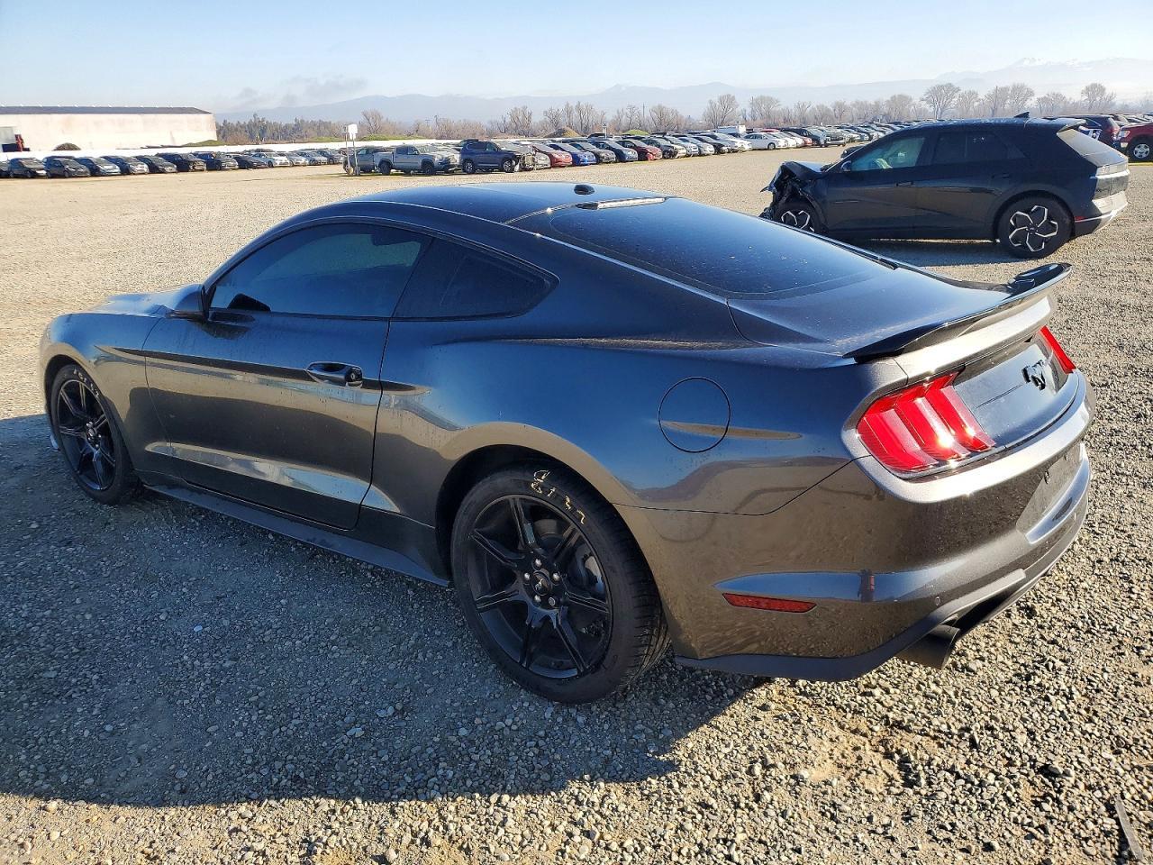2019 FORD MUSTANG