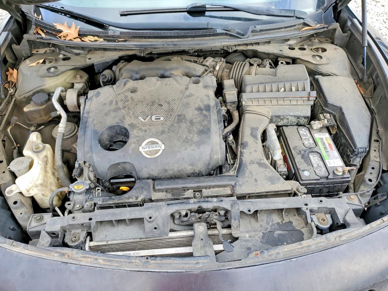 2010 NISSAN Maxima