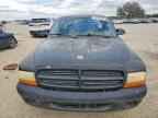 2000 DODGE Dakota