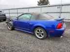 2003 FORD MUSTANG