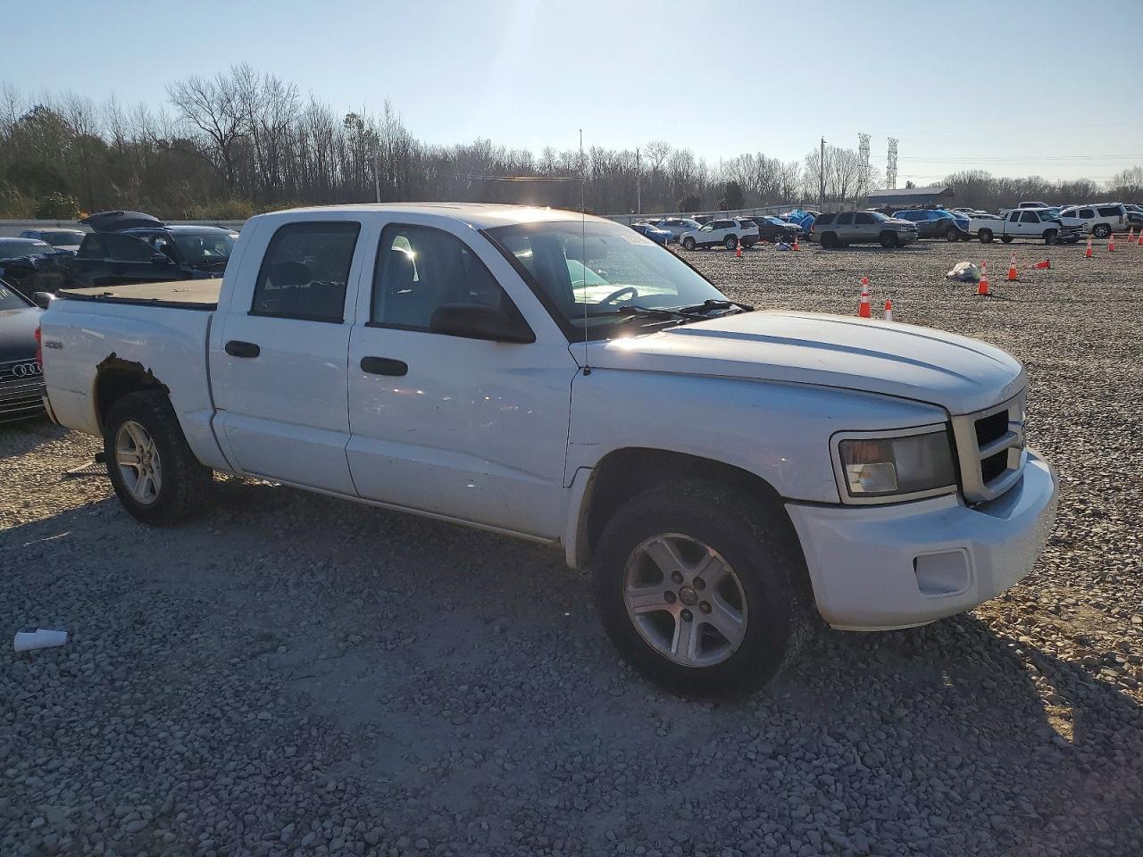 2010 DODGE Dakota