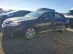 2012 TOYOTA Avalon