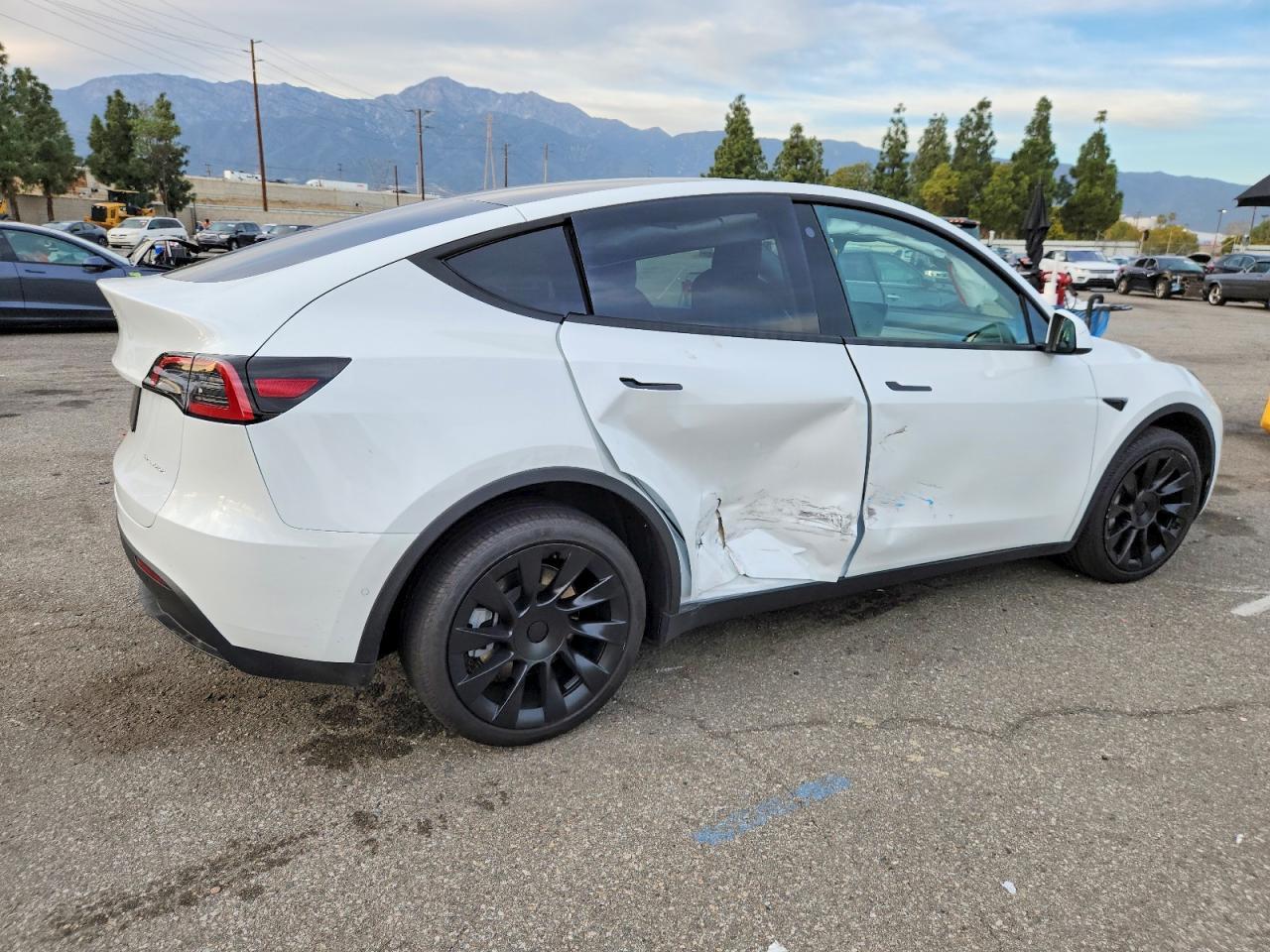 2022 TESLA MODEL Y