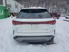 2023 LEXUS RX 350