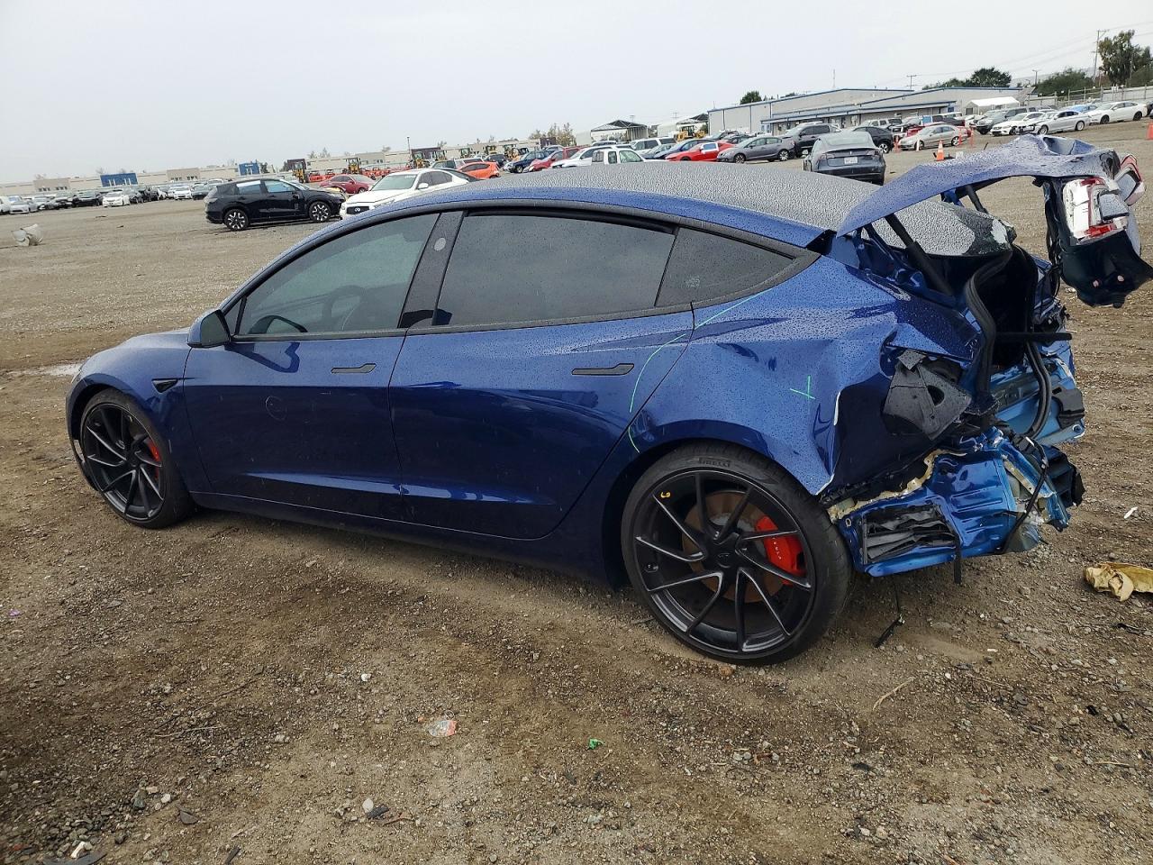 2025 TESLA MODEL 3