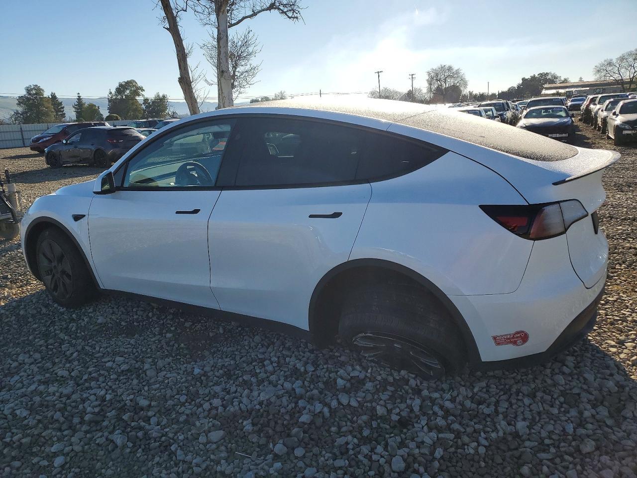 2024 TESLA MODEL Y