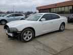 2013 DODGE CHARGER