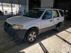 2006 FORD ESCAPE