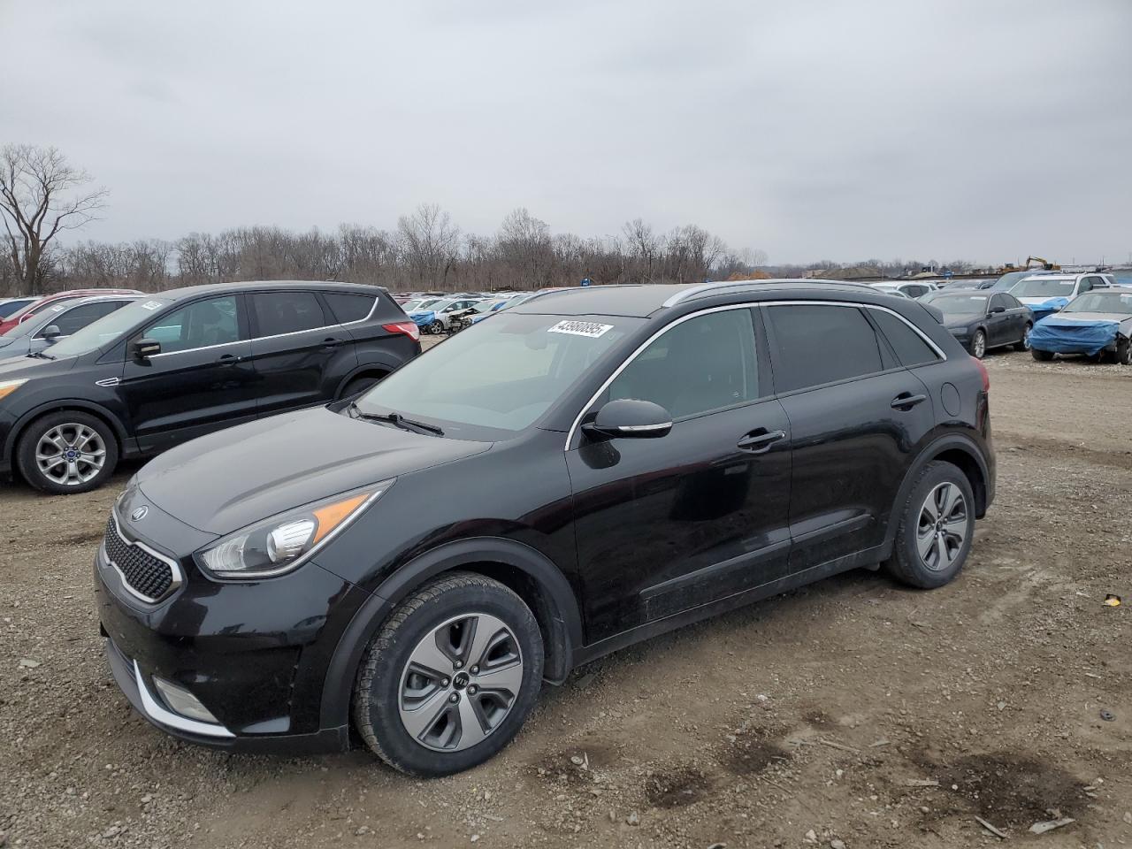 2019 KIA Niro