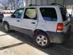 2006 FORD ESCAPE