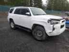 2019 TOYOTA 4Runner