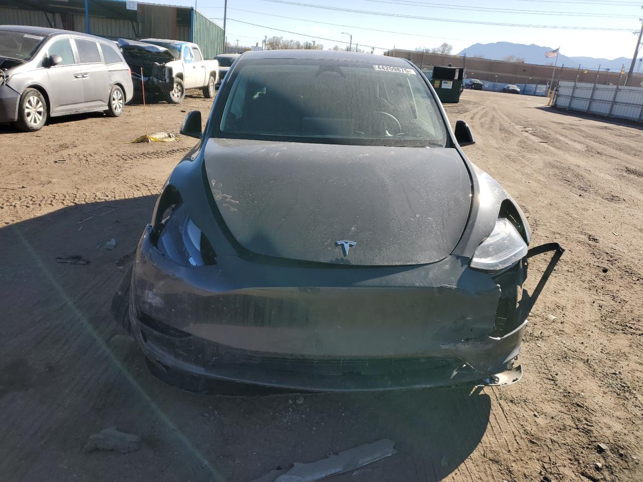 2025 TESLA MODEL Y