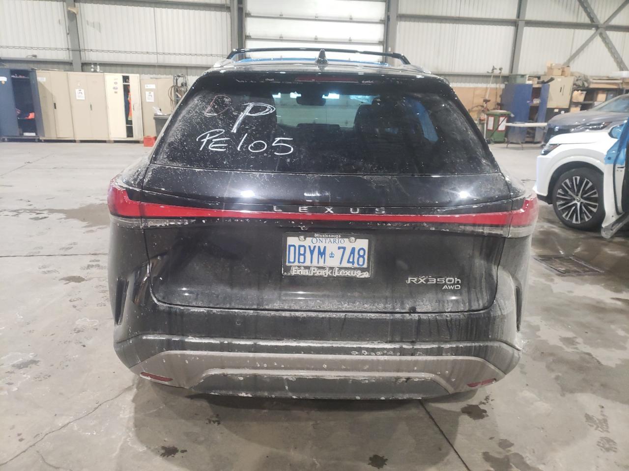 2024 LEXUS RX 350