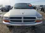 1999 DODGE Dakota