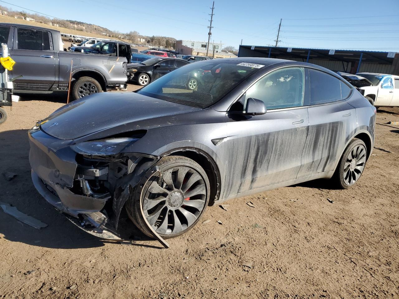 2025 TESLA MODEL Y