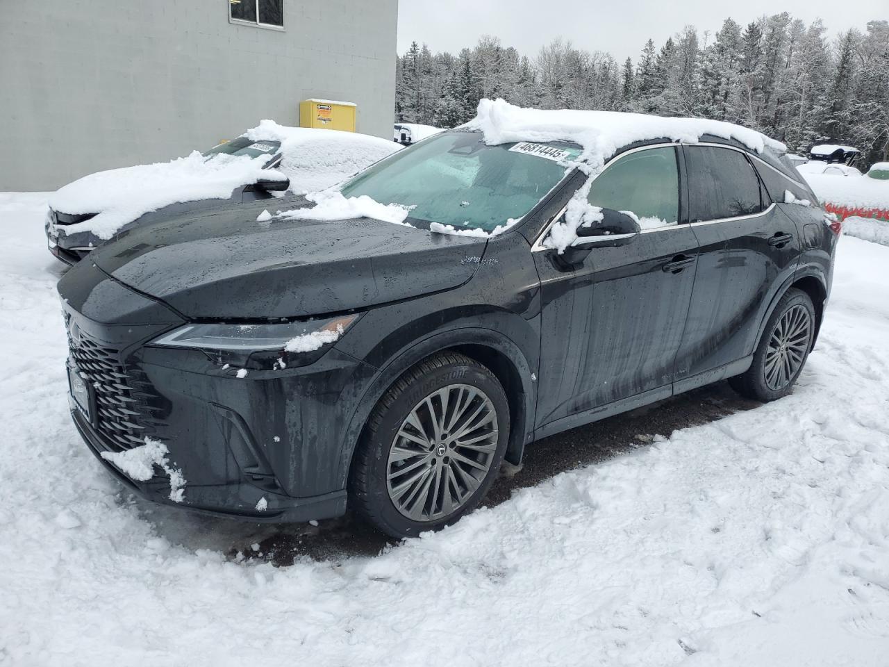 2024 LEXUS RX 350