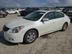 2010 NISSAN ALTIMA