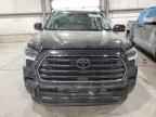 2024 TOYOTA Sequoia