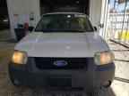 2006 FORD ESCAPE