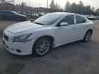 2010 NISSAN Maxima