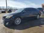 2014 TOYOTA Avalon