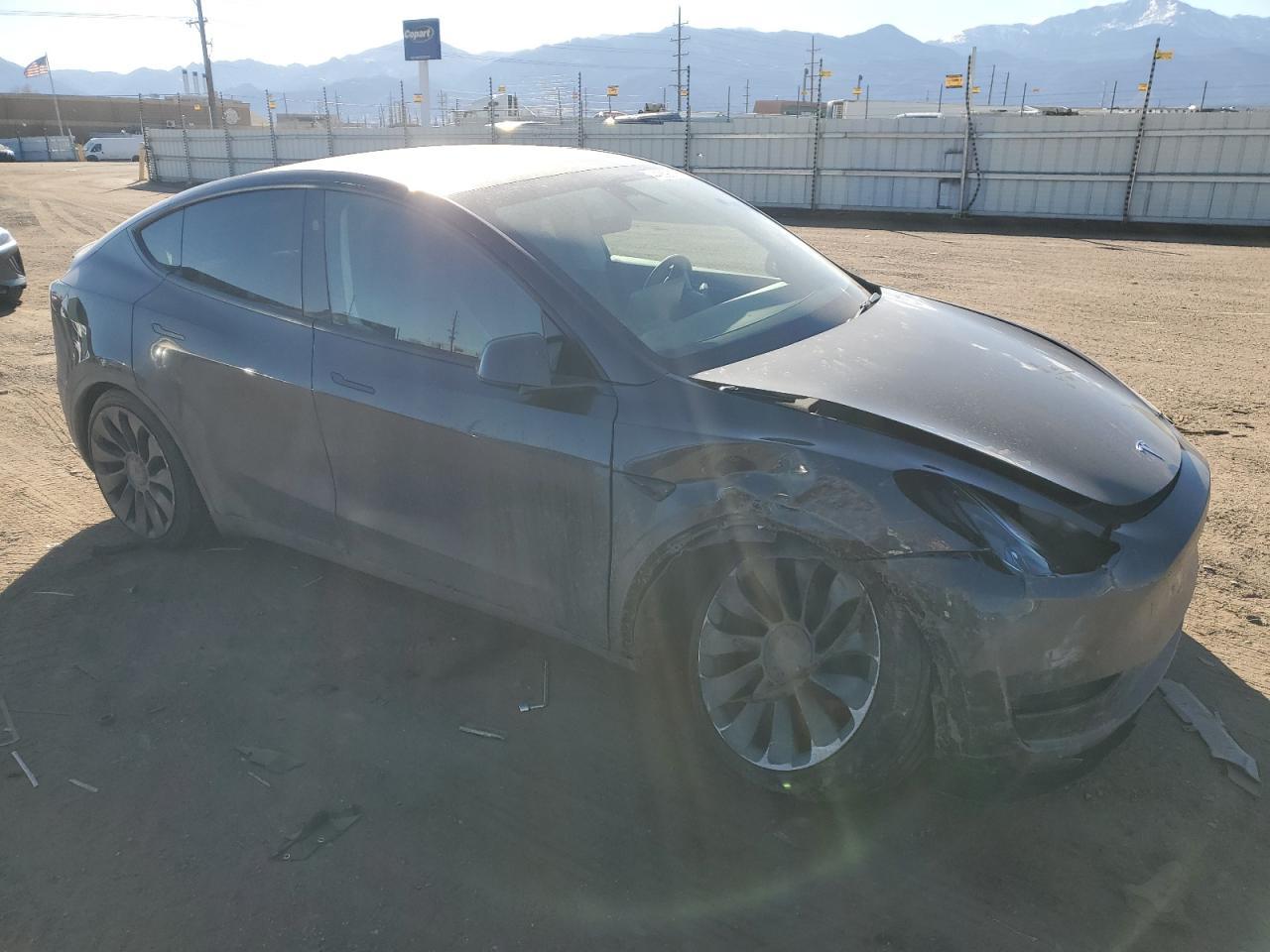 2025 TESLA MODEL Y