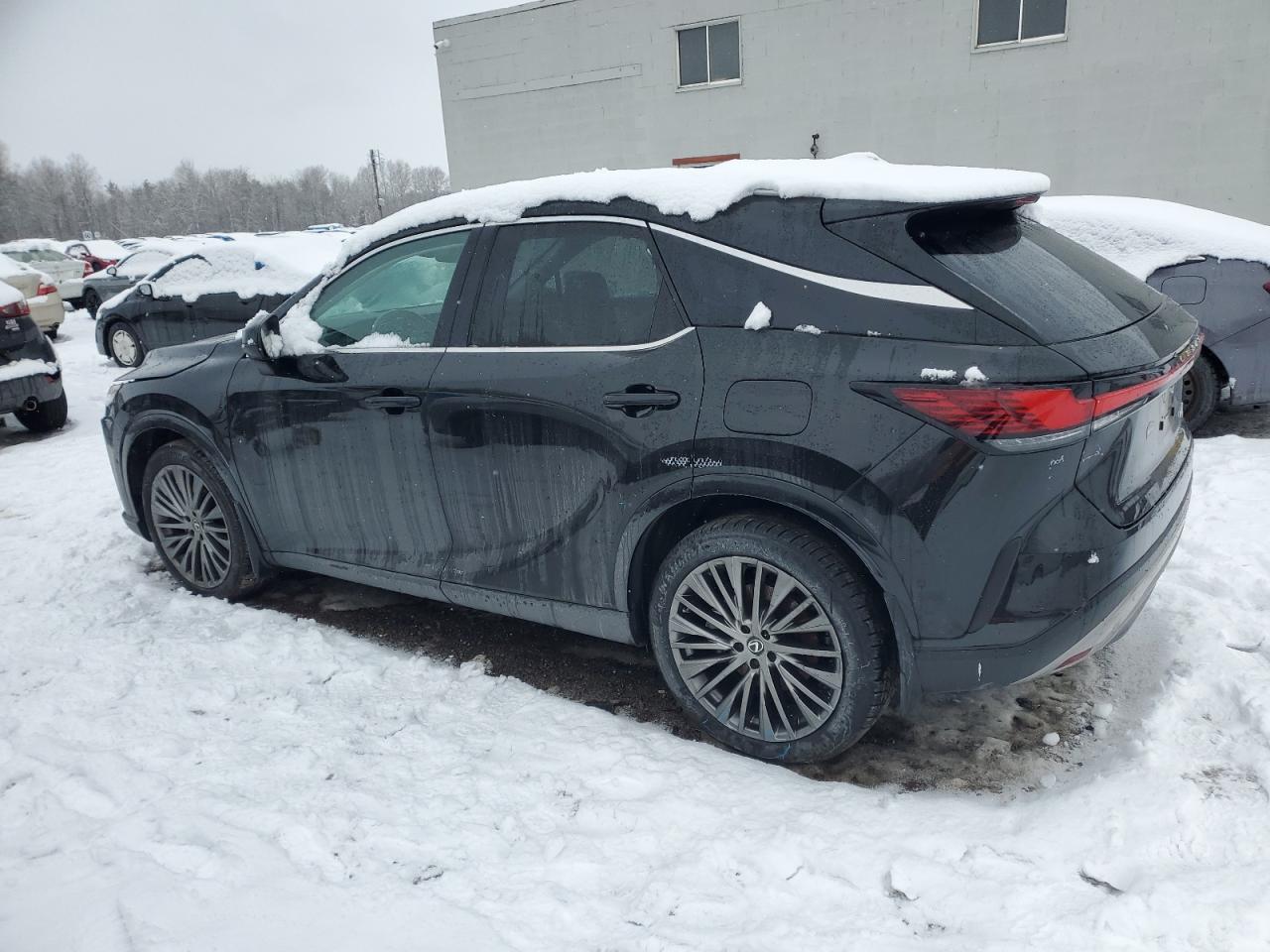2024 LEXUS RX 350