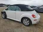 2010 VOLKSWAGEN Beetle