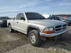 1999 DODGE Dakota