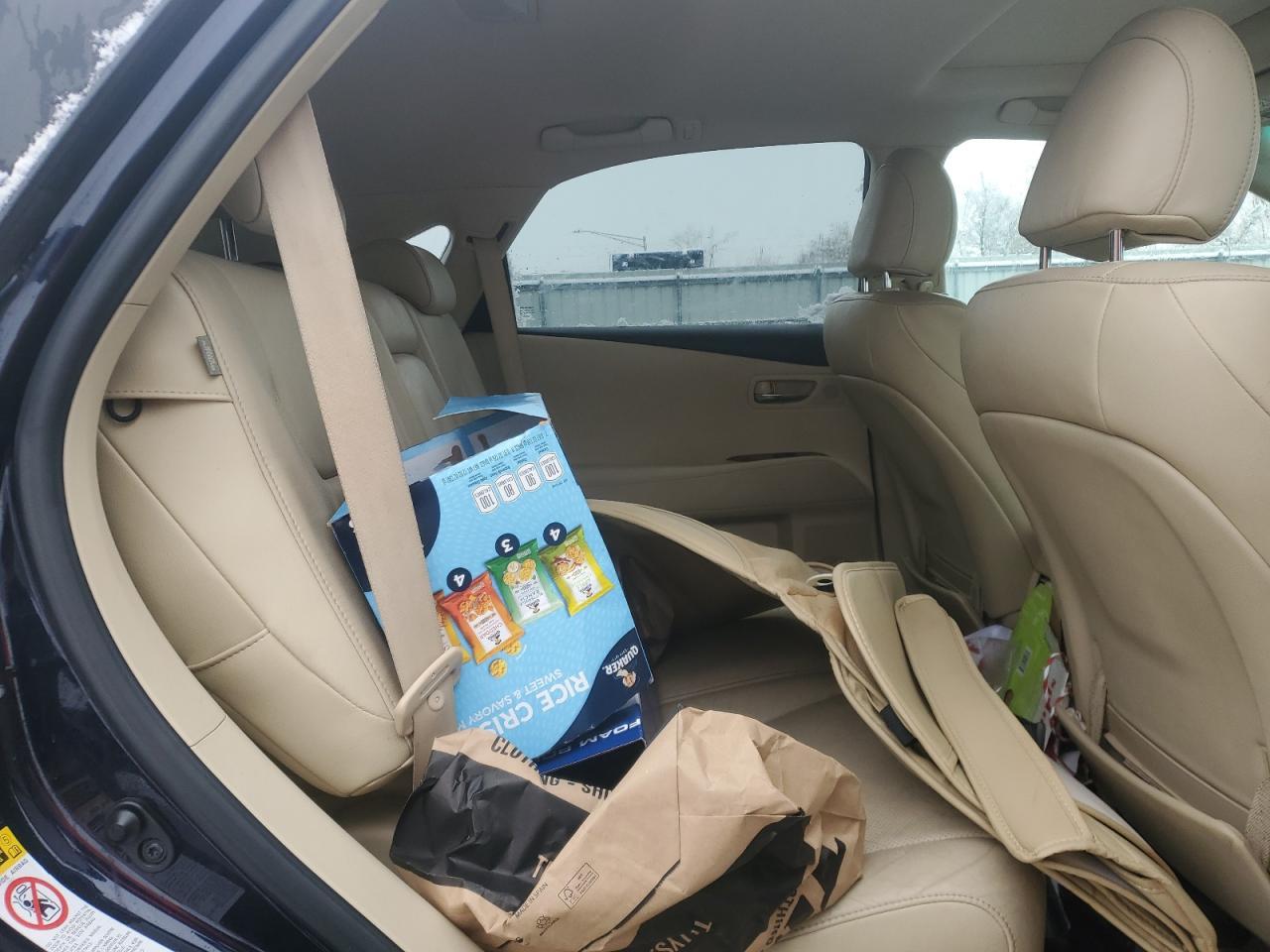 2010 LEXUS RX 350