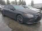 2021 LEXUS ES 350