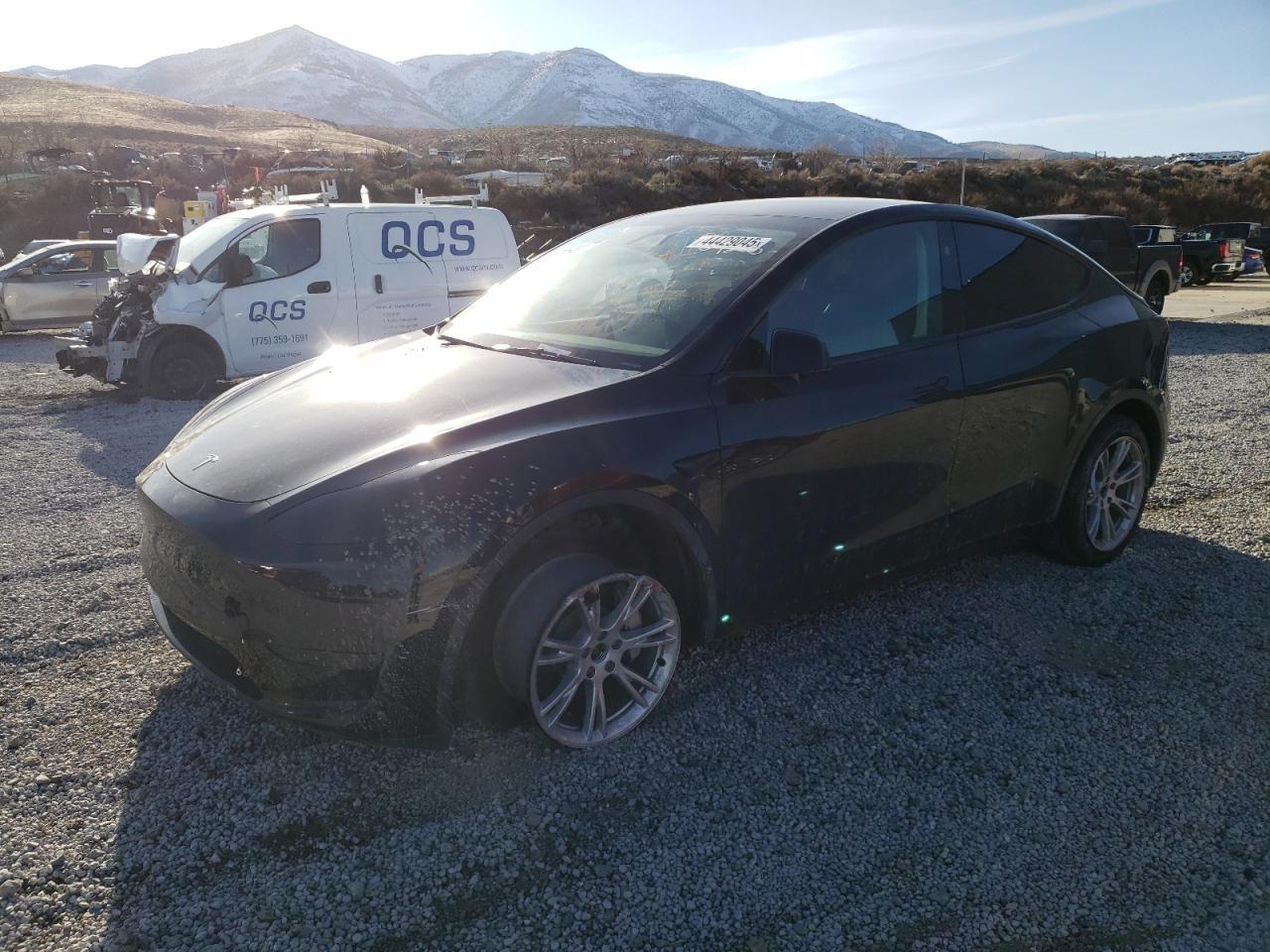 2024 TESLA MODEL Y