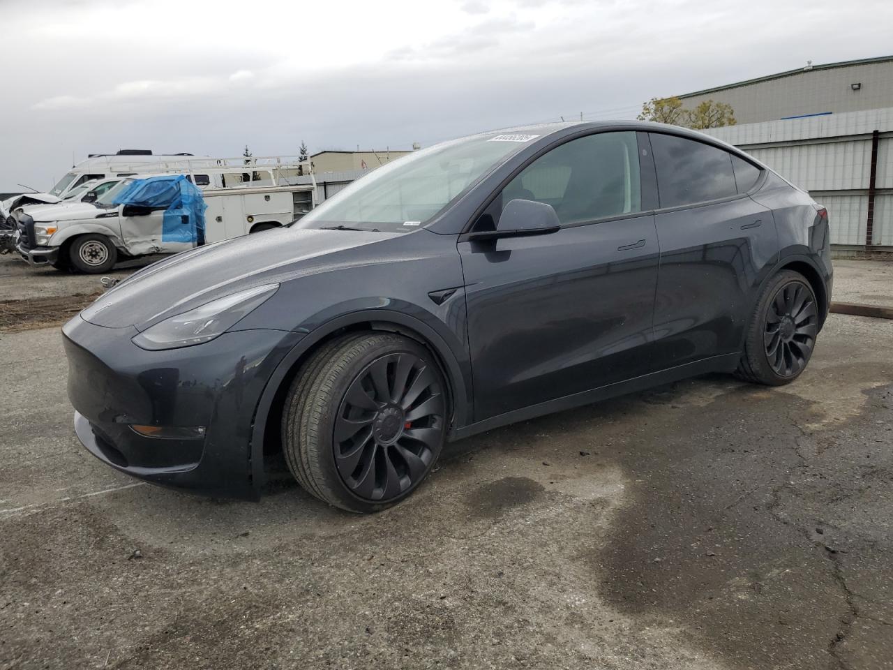 2024 TESLA MODEL Y