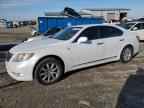 2007 LEXUS LS 460