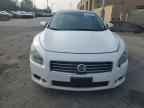 2010 NISSAN Maxima