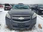 2013 CHEVROLET MALIBU