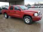 2006 DODGE Dakota