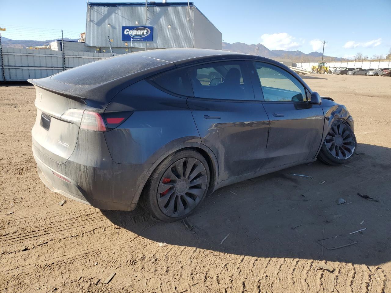 2025 TESLA MODEL Y