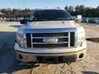 2009 FORD F-150