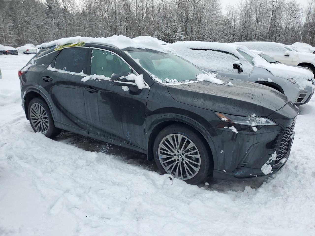 2024 LEXUS RX 350