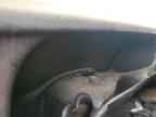 2009 CHEVROLET Express 3500