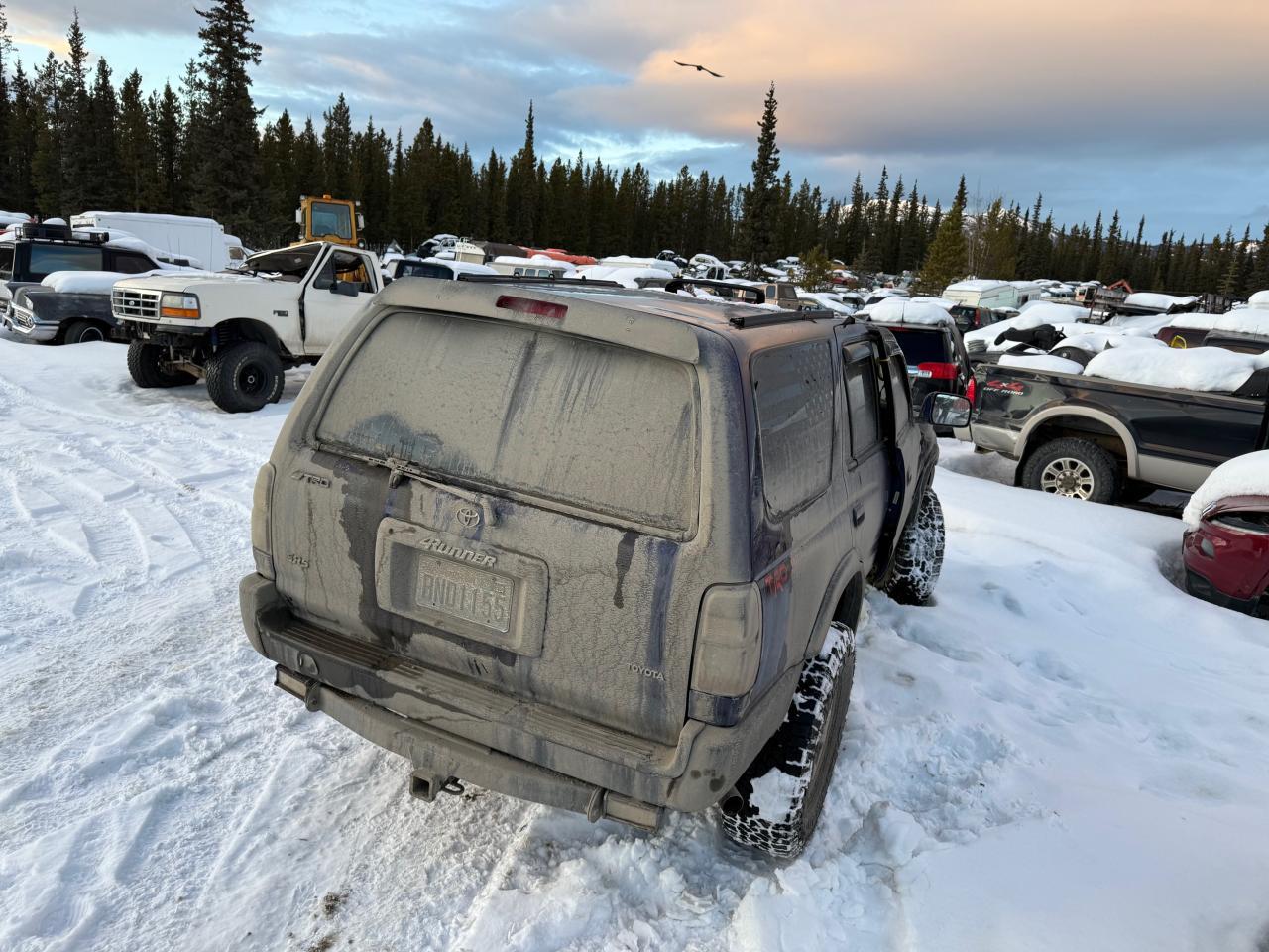 1998 TOYOTA 4Runner