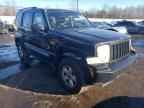 2010 JEEP Liberty