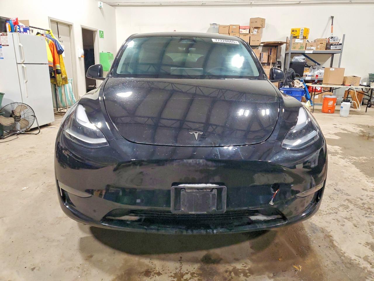 2024 TESLA MODEL Y