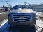 2019 CADILLAC ESCALADE