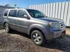 2009 HONDA PILOT