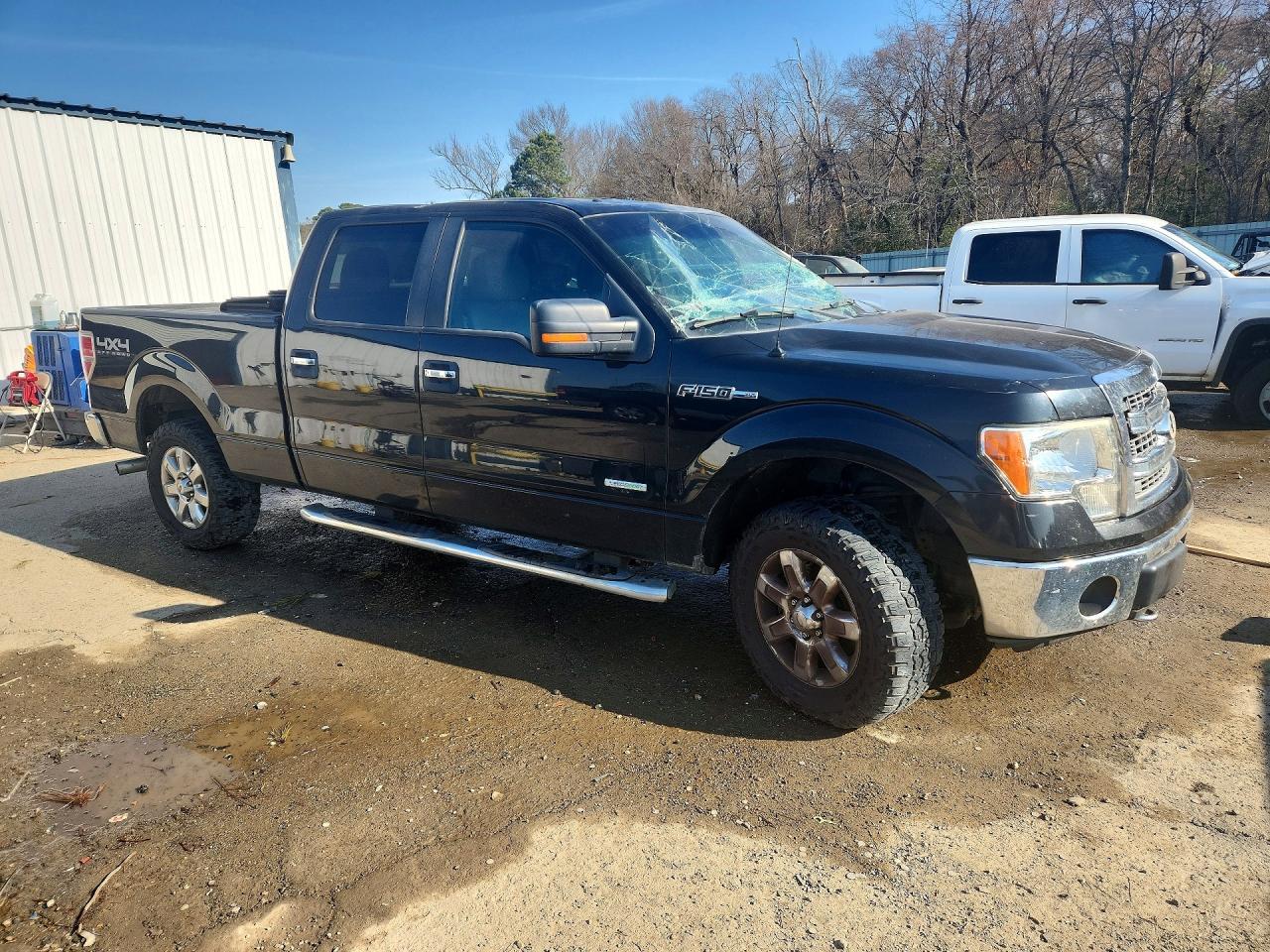 2013 FORD F-150