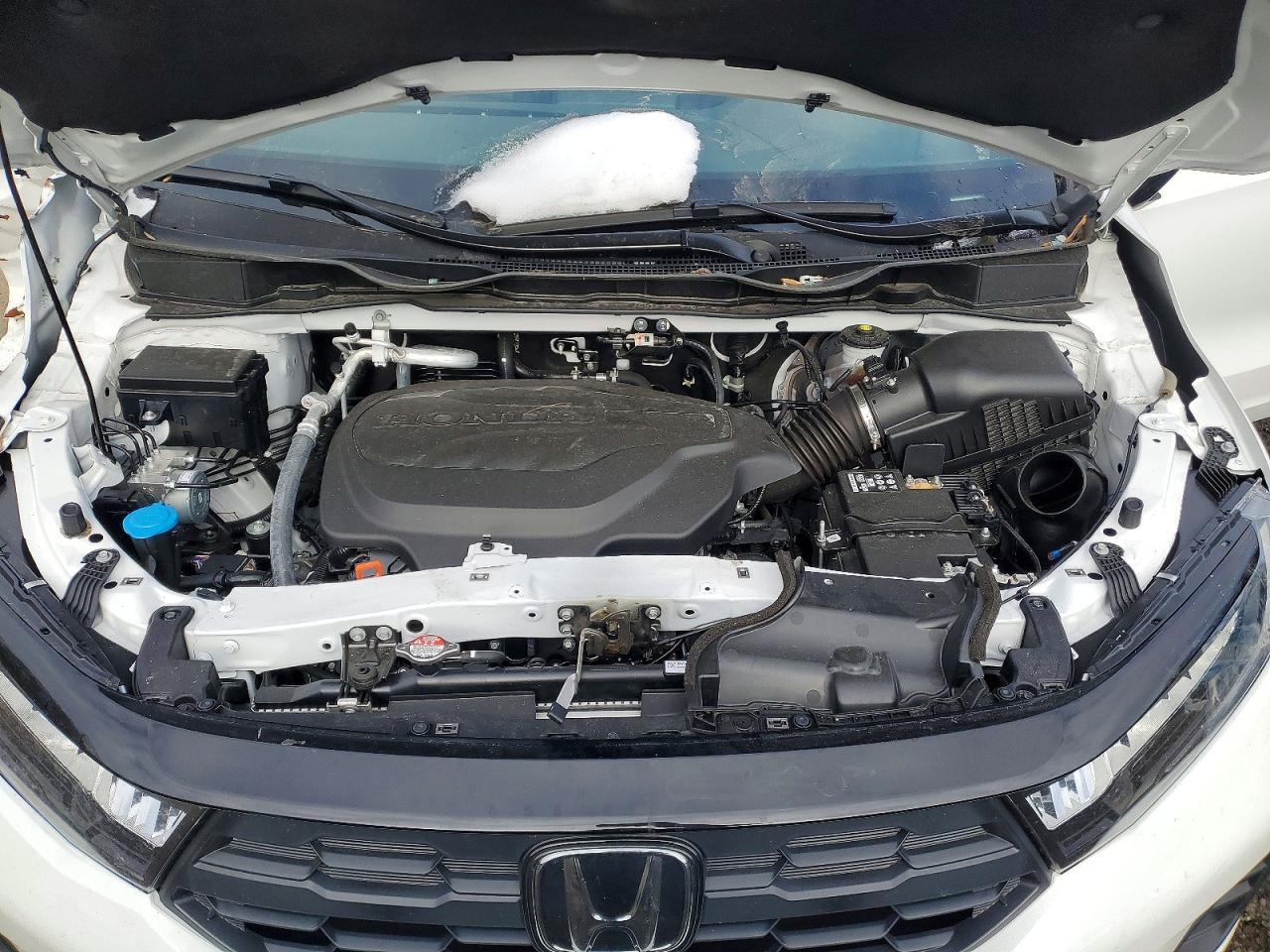 2025 HONDA ODYSSEY