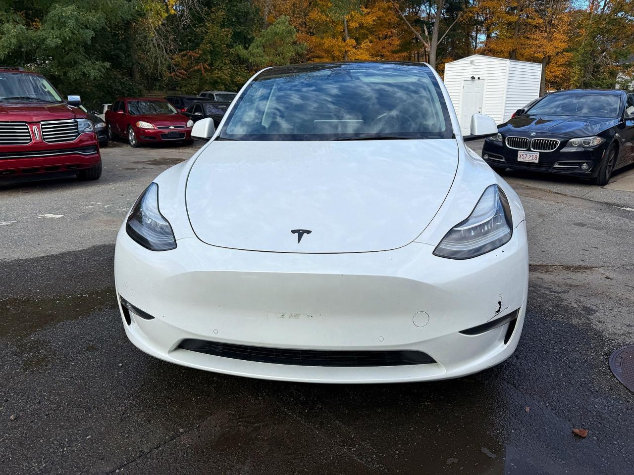 2021 TESLA MODEL Y